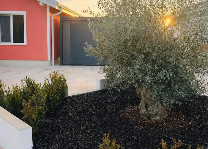 Hambarlii Boutique бутикови хамбарлии *